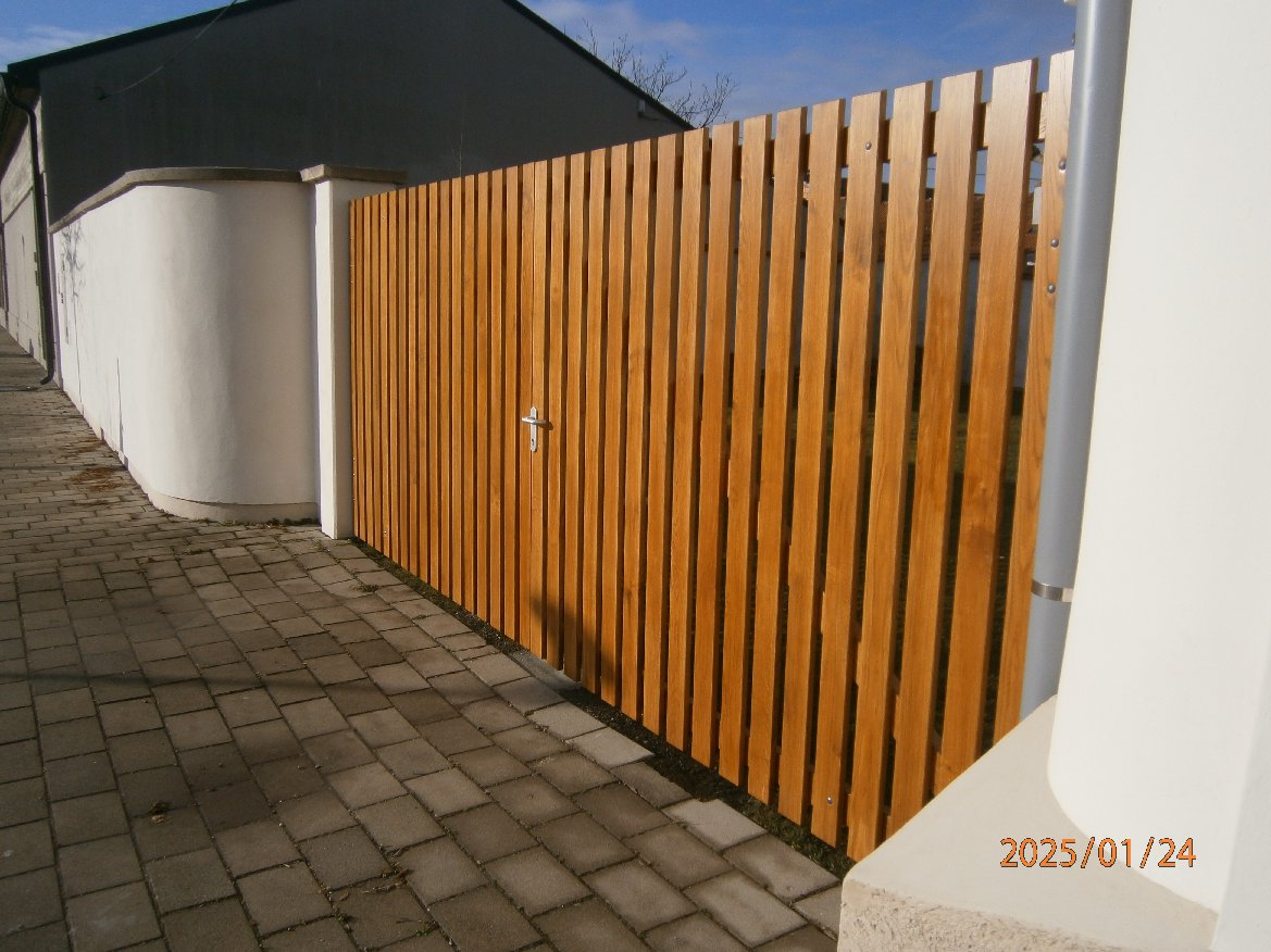 P1240041 (1)